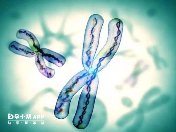 孕妇练瑜伽