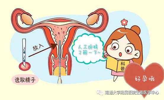 孕妇通便润肠小妙招