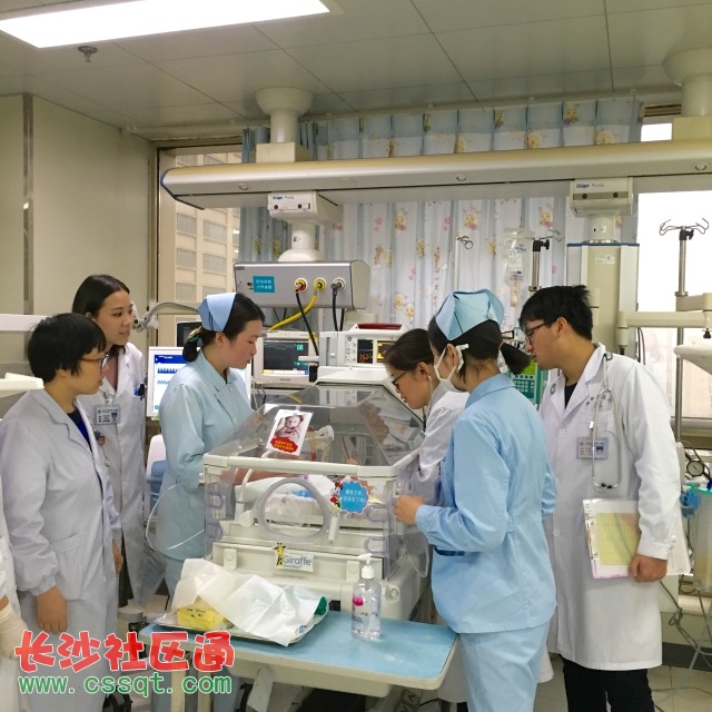 孕期生长发育图