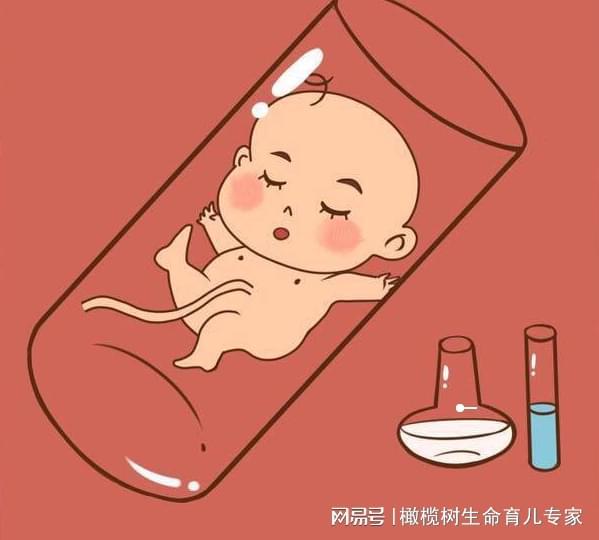 孕期初期