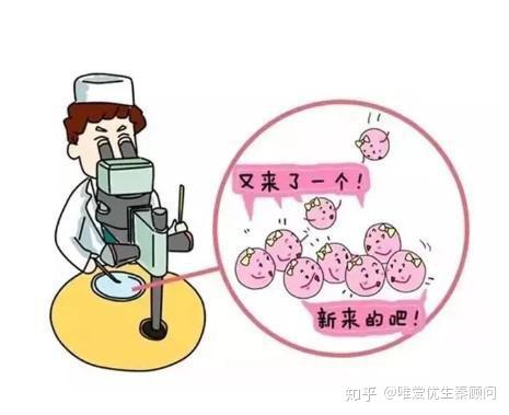 孕妇