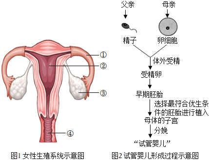 孕期同房