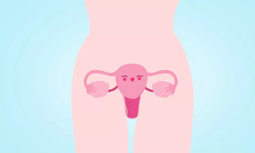 孕妇禁吃蔬菜
