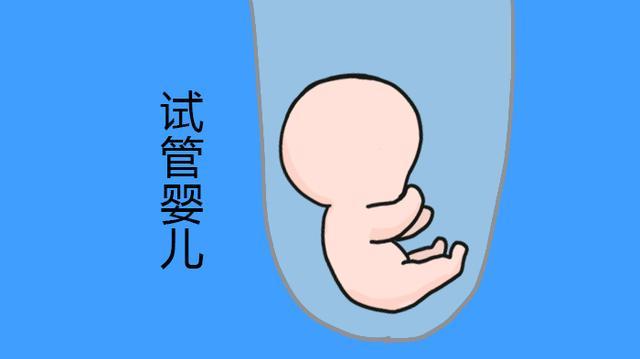 孕期生长发育