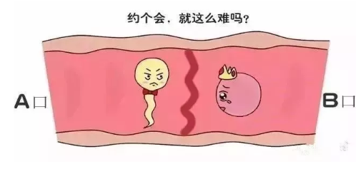 孕期孩子大小对照表