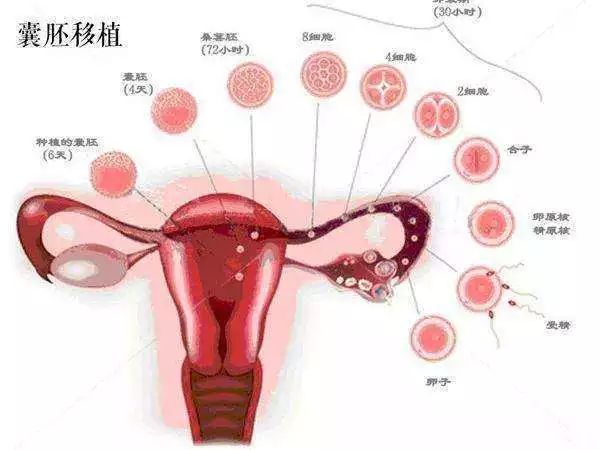 孕期同房