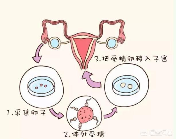 孕早期